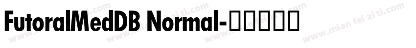 FutoralMedDB Normal字体转换